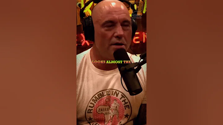 Rogan Explodes: Andrew Santino Calls Charger & Challenger the Same