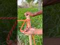 This knot will be Useful!