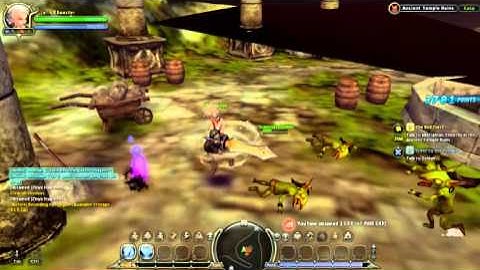 DragonNest Problem with screen