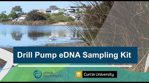 Using the Drill Pump for eDNA water sampling with eDNA Frontiers