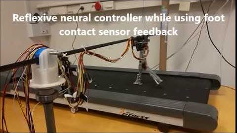 DACBOT: Locomotion under reflexive neural control