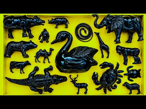 Membersihkan hewan kelinci, kodok, buaya, sapi, gajah, ikan gergaji, belalang,angsa,beruang,Kepiting