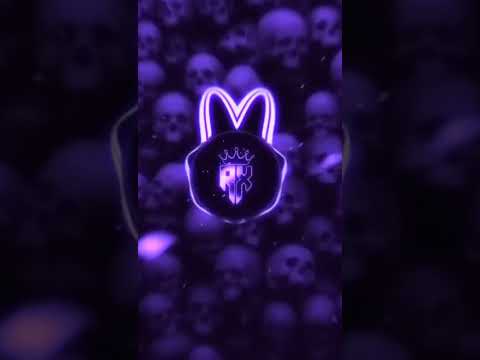 DJ MOIGUS -
