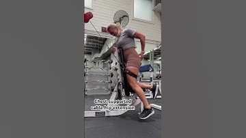 Cable chest supported hip extension