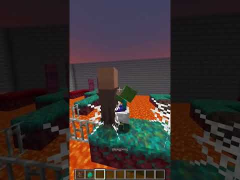 Villager iq test