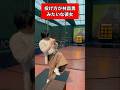 投げ方が林昌勇みたいな彼女#野球#彼女 #ナチョス。#まなみちゃん