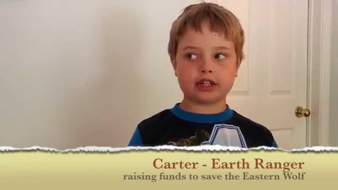 Earth Ranger Carter Saves The Eastern Wolf - YouTube