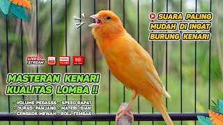 Masteran Kenari PAUD \u0026 Pancingan Kenari MACET BUNYI‼️ Terapi AMPUH Bikin Kenari GACOR (Episode 117)