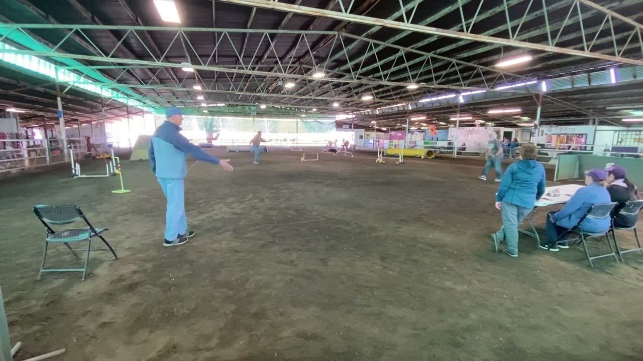 Ziggy Chances 3-27-2022 Myna