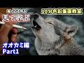 10分色鉛筆画教室】見て学ぶオオカミの描き方Part1 - YouTube