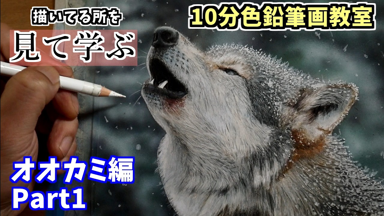 10分色鉛筆画教室】見て学ぶオオカミの描き方Part1 - YouTube