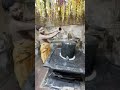 #Lord shiva #harra hara mahadev#devotional#🙏