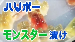 ハリボーグミのモンスター漬けを作ってみた　激ウマ