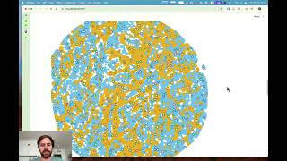 Full QuPath to LMD: Cellular neighborhood collection Guide
