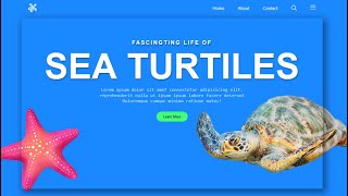 Create a  3d animated website html CSS JAVASCRIPT |  Turtle 3d website using html CSS GSAP