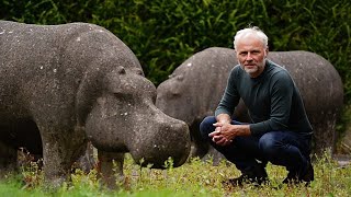 Meet You at the Hippos (BBC) Information