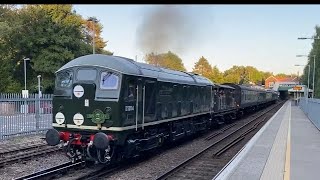 Class 24 + 25 | 24054 - D5054 ‘Phil Southern’ + 25901 - D7612 | Spa Valley Railway | Eridge 13/08/22