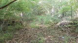 1411 Mccallie Ferry Rd video tour