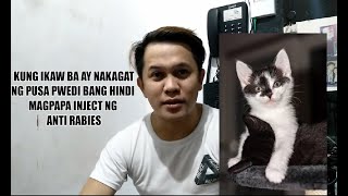 KUNG IKAW AY NAKAGAT NG PUSA PWEDI BANG HINDI MAGPAPA INJECT NG ANTI RABIES