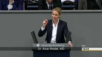 GESCHREIE DER ALTPARTEIEN💥 ALICE WEIDEL UNGESCHMINKT! 💥 Alle Reden – alle Eklats – alle Reaktionen!