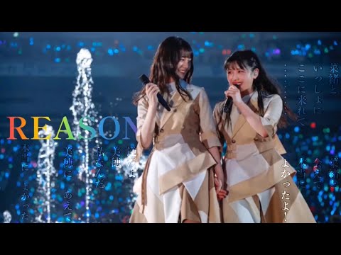 東京ドーム初公演記念MAD「REASON」 -  東京ドーム初公演記念MAD「REASON」