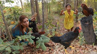 Found Catch 3 chicken in forest of survival-Boiled chicken soup with special recipe eating delicious