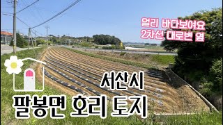 #54 서산시 팔봉면 호리 토지 매매 (330평)