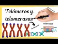 Telómeros y Telomerasas [Los extremos de los cromosomas]
