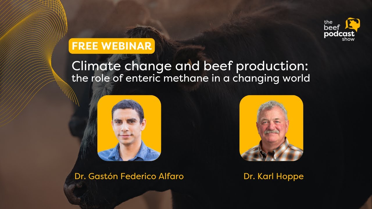 Webinar - Climate change and beef production:  the role of enteric methane in a changing world