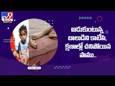 , .. - TV9