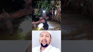 See what it's holding?😱🤔 #animal #youtubeshorts #lifestyle #funny #amazinglifestyle #shorts