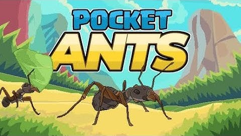 Pocket Ants Part 13