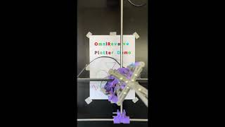 OmniRevolve Plotter draws 4-color demo picture (time-lapse)