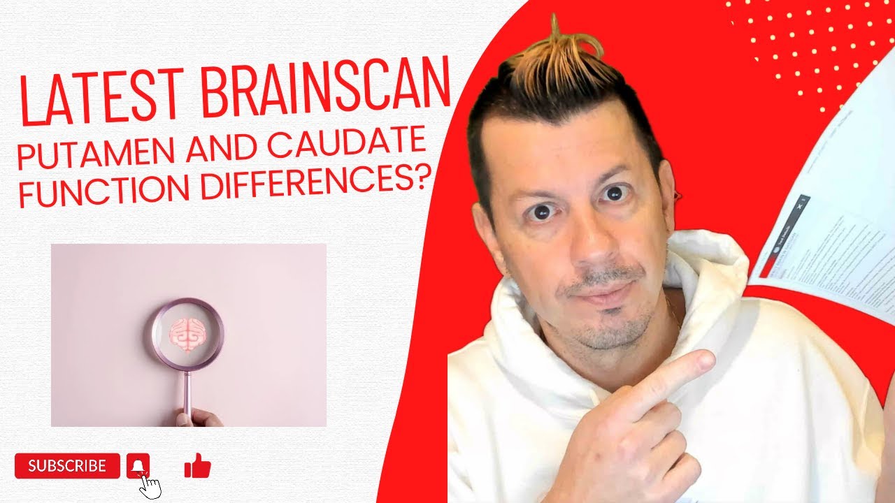 Latest Brain Scan Result, and What's The Difference Between Putamen and Caudate Functions?