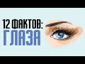 12 интересных фактов о глазах: особенности и цвет глаз