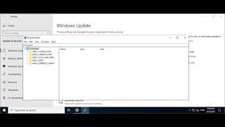 [ Solved ] Some settings are managed by your organization windows server