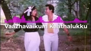 Vaazhavaikum Kaathalukku (Tamil) Apoorva Sagodharargal|Kamal Haasan ,Ilaiyaraaja|LOFI SONG |MR MUSIC