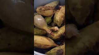 Nilagang saging #cardababanana #shortvideo #viralshorts