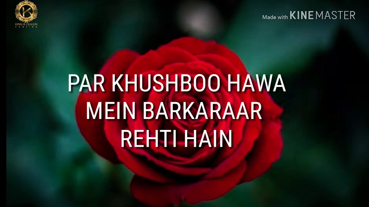 Sad Status / whatsapp status Shayari /roman english shayari