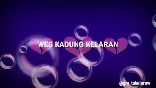 Downloadlagu lede lede MP3 MP4 lagu lede lede