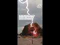 Shocking lightning strike hits a tree in residential neighborhood in Texas