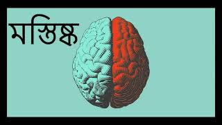 মস্তিষ্ক মেডিটেশন  l  Mostishko meditation  l  Quantum method  l  bangla meditation