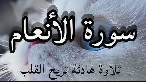 سورة الأنعام (تلاوة هادئة بصوت رائع استمع وارح قلبك)