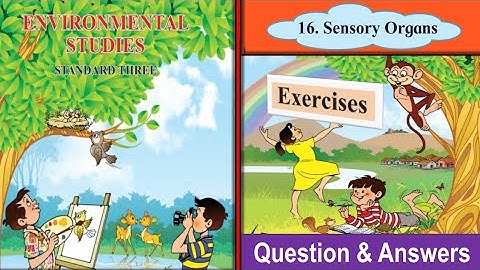 Std.3rd Exercise (16.Sensory Organs ) Question & Answers [Environmental Studies]