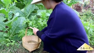 一道让人起鸡皮疙瘩的云南美食【滇西小哥】