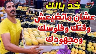 اسرار المانجا 🥭 يكشفها لنا كبير تجار الفواكه من داخل أكبر سوق جملة في مصر 🇪🇬
