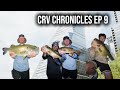 AUSTIN TEXAS... (CRV CHRONICLES EP 9)
