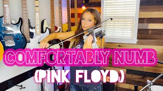 Comfortably Numb (David Gilmour Guitar Solos)  Pink Floyd  Nina D Violin Cover