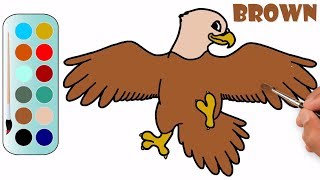 Drawing tutorial for Eagle | Painting an Eagle Coloring Pages | MHP Learning School