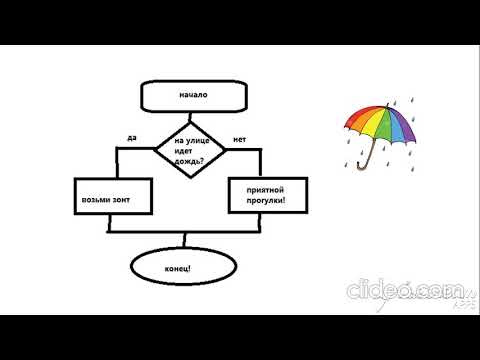 Алгоритм ветвления (7 класс)